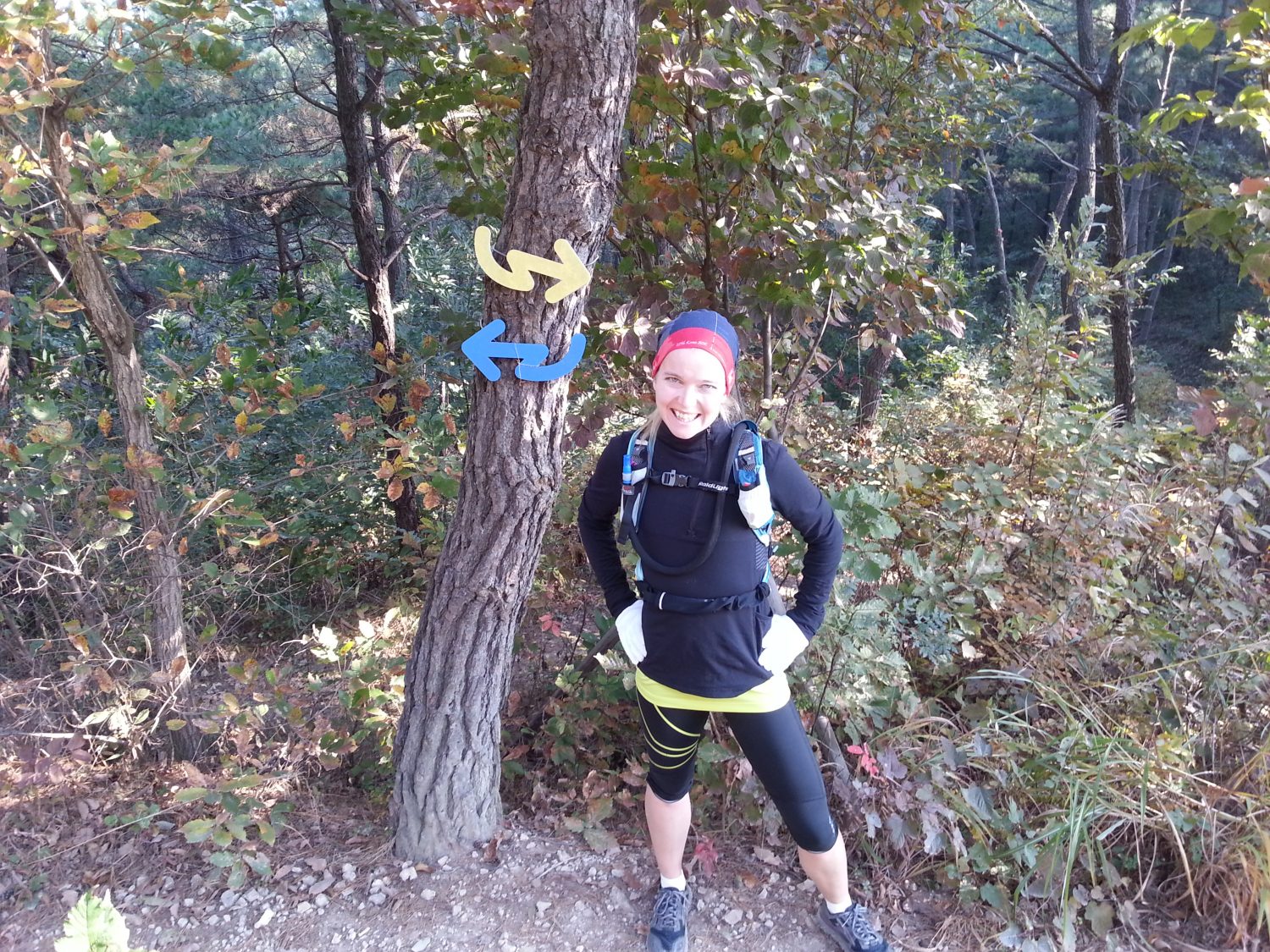 What a wonderful world