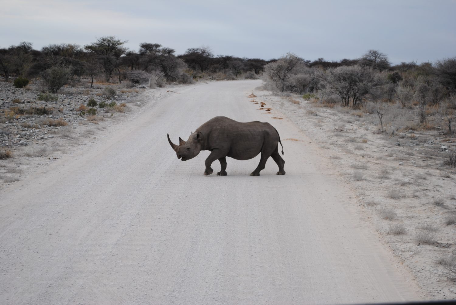 What a wonderful world