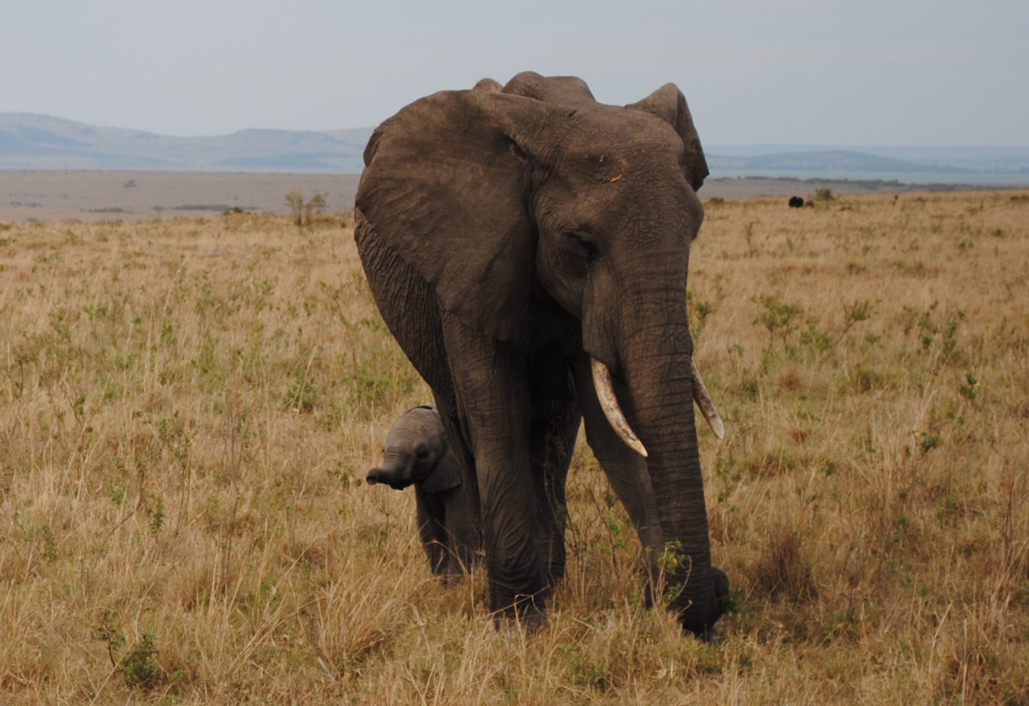 What a wonderful world