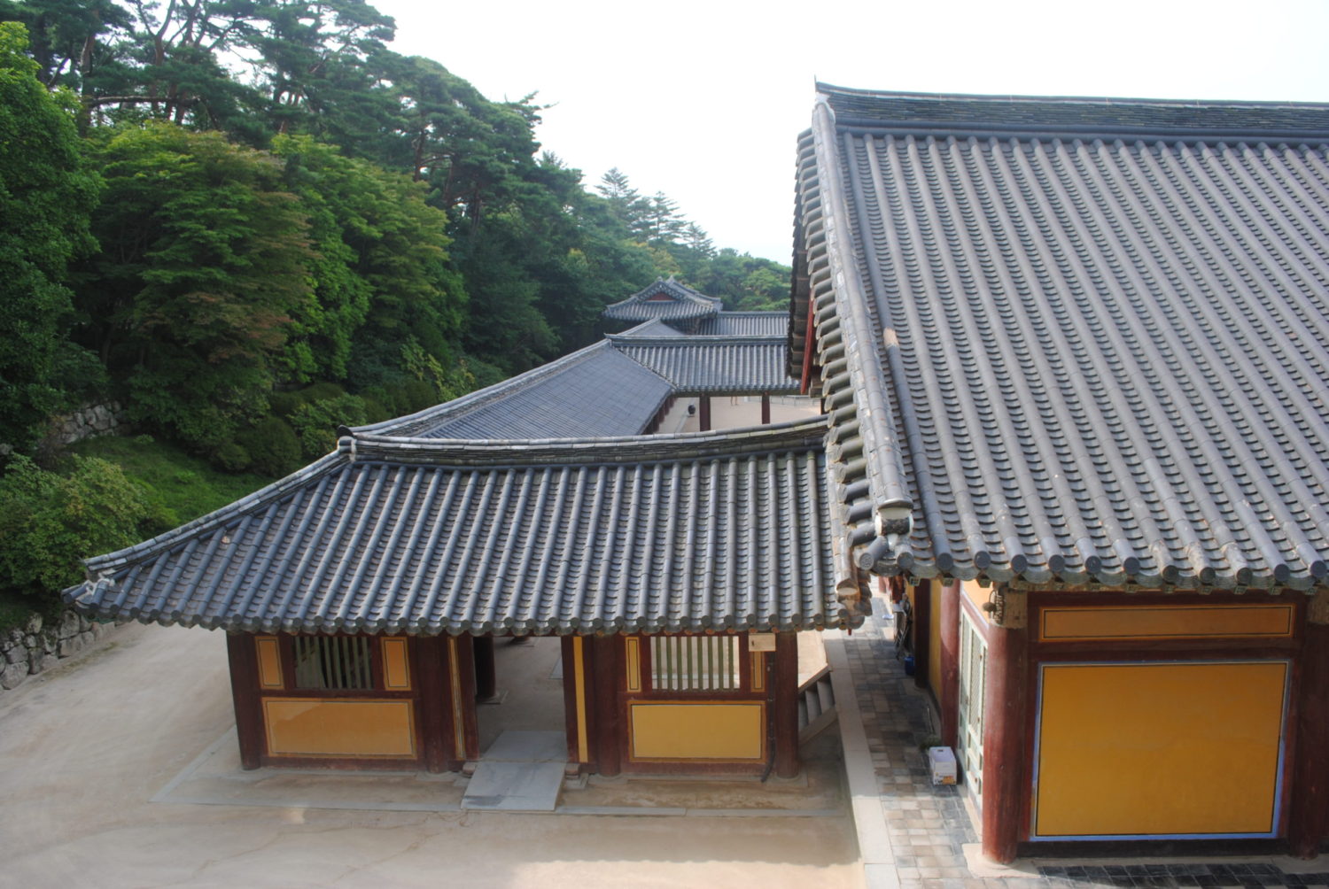 What a wonderful world