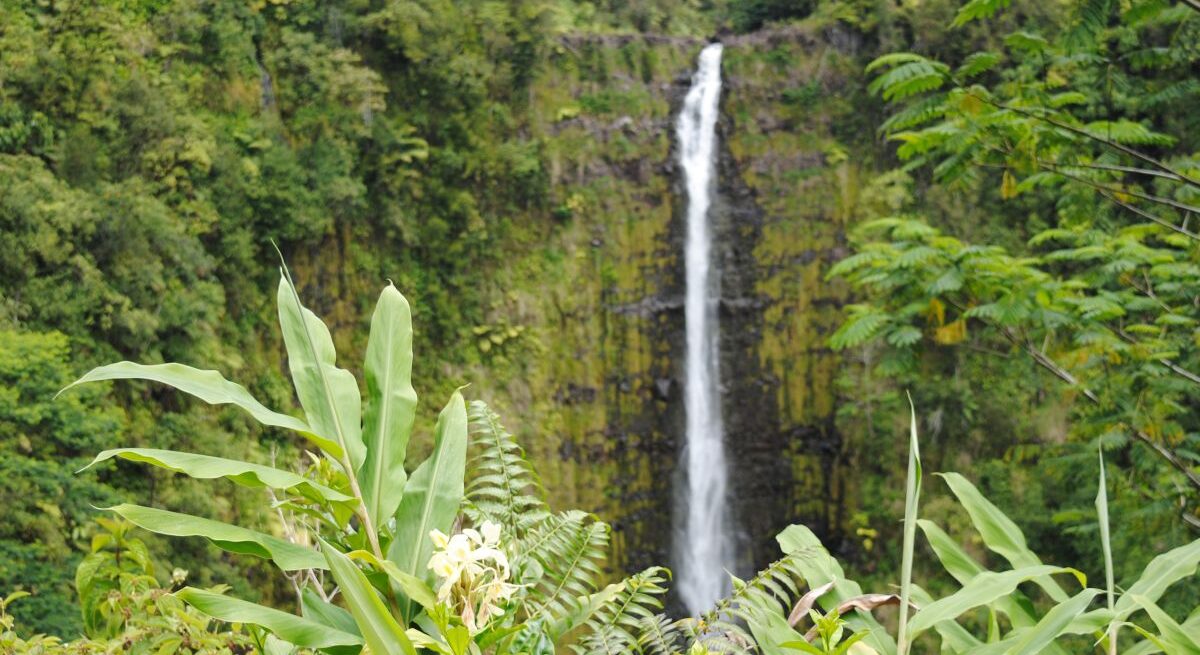 What a wonderful world