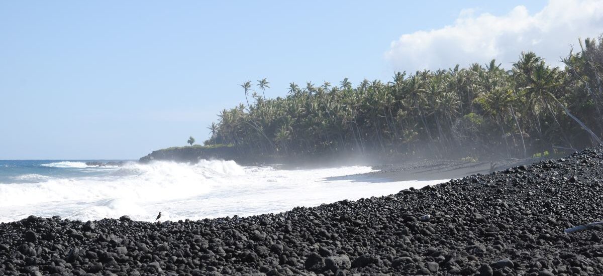 What a wonderful world