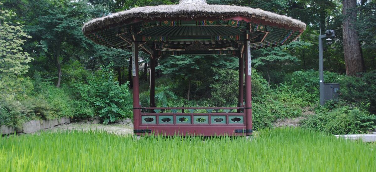 What a wonderful world