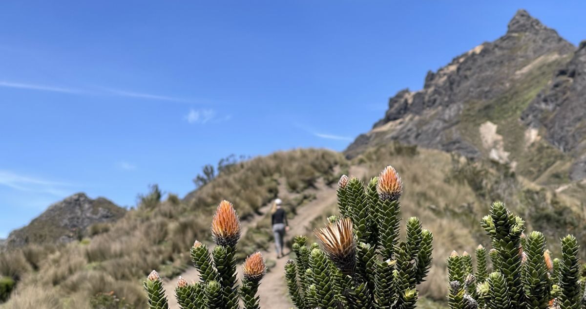 What a wonderful world