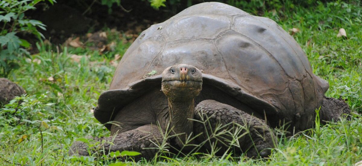 What a wonderful world