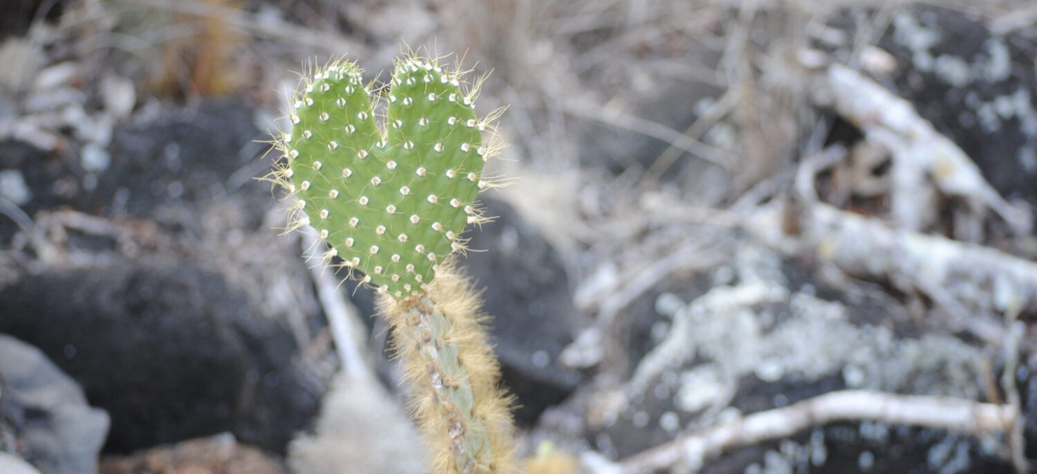 What a wonderful world