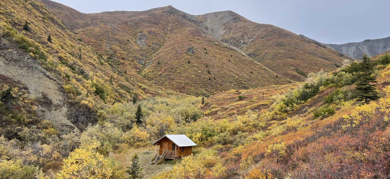 What a wonderful world