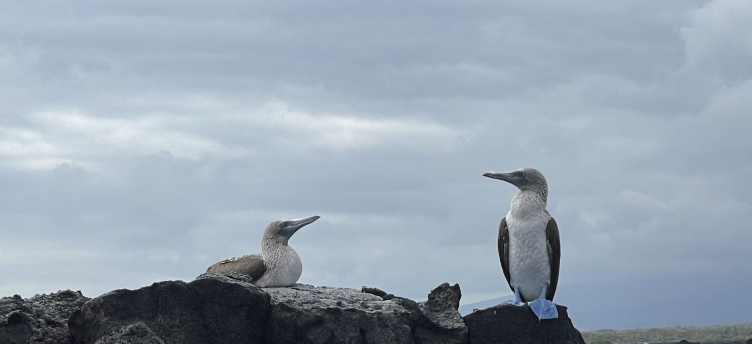 What a wonderful world